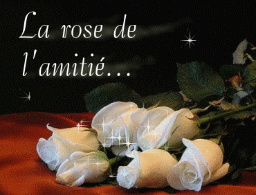RÃ©sultat de recherche d'images pour "roses amitiÃ©,"