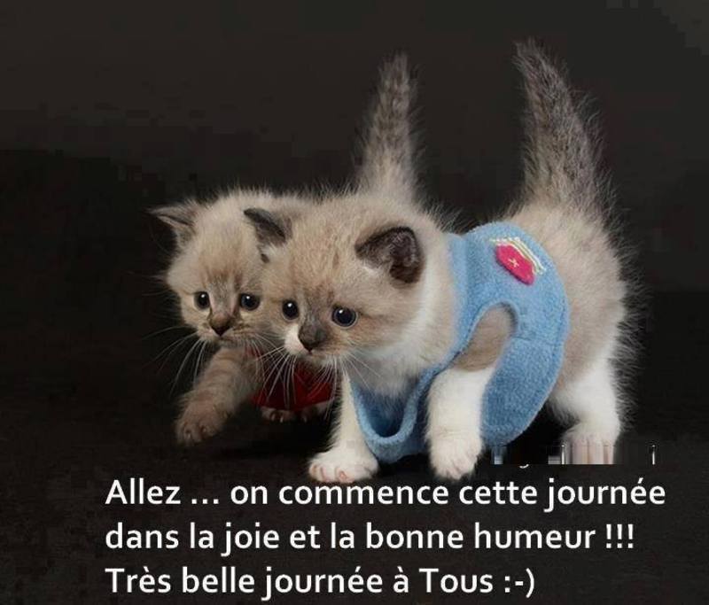 Afficher l�image source